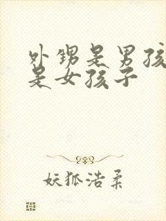 外甥是男孩子还是女孩子