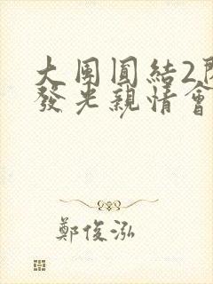 大团圆结2闪闪发光亲情会