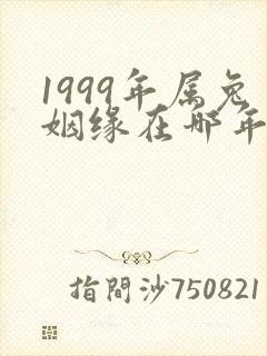 1999年属兔姻缘在哪年封面