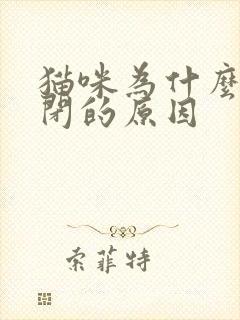 猫咪为什么会尿闭的原因