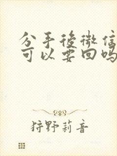 分手后微信转账可以要回吗封面