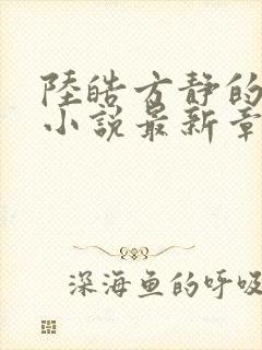 陆皓方静的都市小说最新章节封面