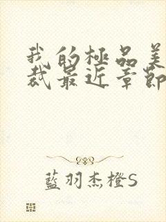 我的极品美女总裁最近章节