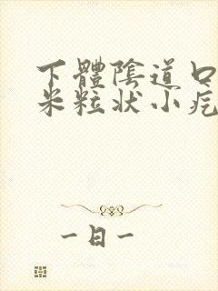 下体阴道口长有米粒状小疙瘩