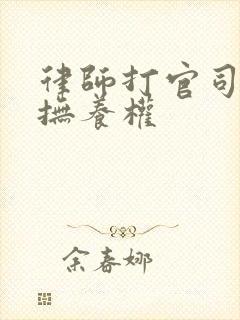 律师打官司孩子抚养权