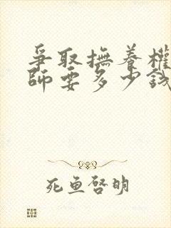 争取抚养权请律师要多少钱