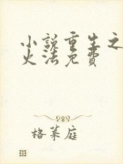 小说重生之狂暴火法免费