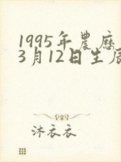 1995年农历3月12日生辰八字