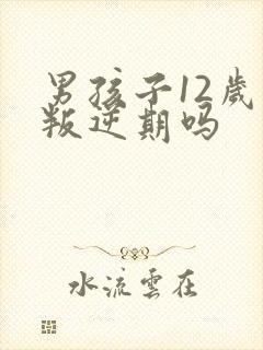 男孩子12岁是叛逆期吗