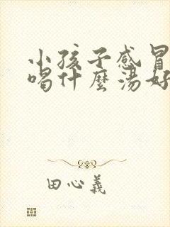 小孩子感冒发烧喝什么汤好