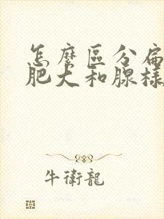 怎么区分扁桃体肥大和腺样体肥大