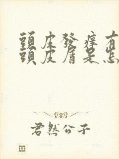 头皮发痒有大块头皮屑是怎么回事封面