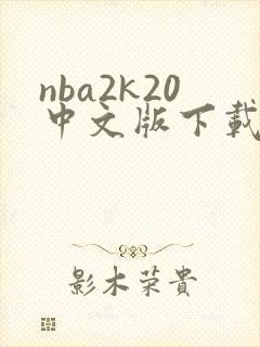 nba2k20中文版下载安卓