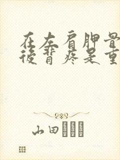 在左肩胛骨下方后背疼是重病信号