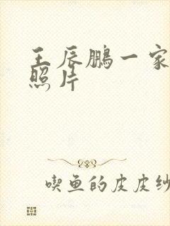 王辰鹏一家三口照片