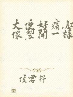 大便好痛,肛门像裂开一样