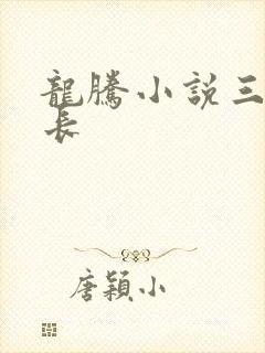 龙腾小说三宝局长