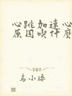 心跳加速心慌的原因吃什么