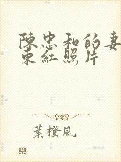 陈忠和的妻子李东红照片