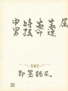 申时出生属鸡的男孩命运封面