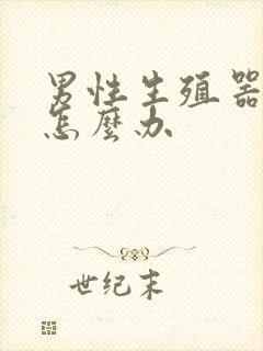 男性生殖器弯了怎么办