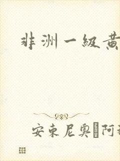 非洲一级黄色片