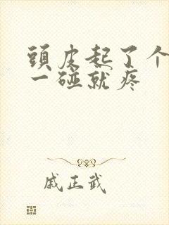 头皮起了个疙瘩一碰就疼