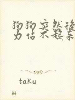 狗狗突然后腿无力站不起来还抖