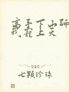 高手下山师姐将我宠上天