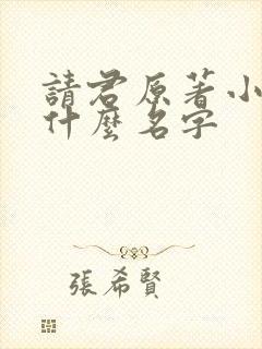 请君原著小说叫什么名字