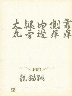 大腿内侧靠近睾丸旁边痒痒越抓越痒起疙瘩封面