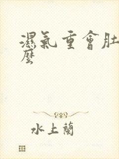 湿气重会肚子大么