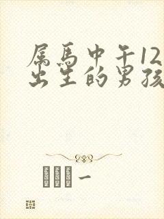 属马中午12点出生的男孩命运封面