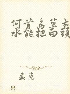 何首乌草本洗发水能把白头发洗黑吗