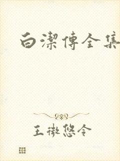 白洁传全集