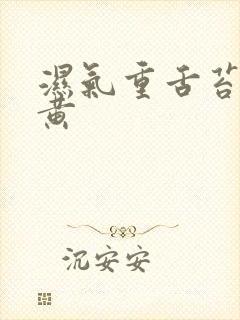 湿气重舌苔白厚黄封面