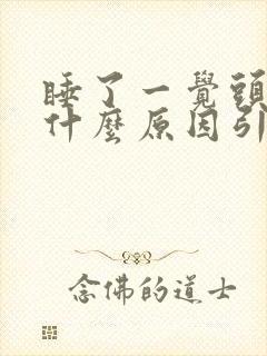 睡了一觉头疼是什么原因引起的封面