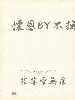 怀恩BY不换