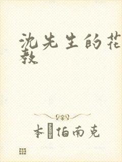 沈先生的花式管教