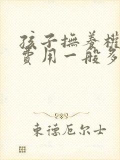 孩子抚养权律师费用一般多少