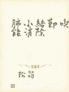 肺小结节吃什么能消除