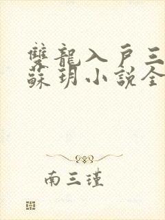 双龙入户三人行苏玥小说全文阅读