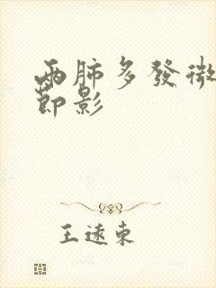 两肺多发微小结节影