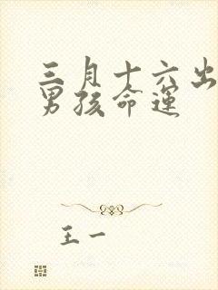 三月十六出生的男孩命运