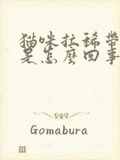 猫咪拉稀带血丝是怎么回事