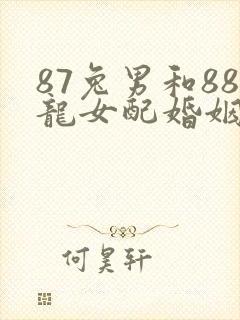 87兔男和88龙女配婚姻好不好