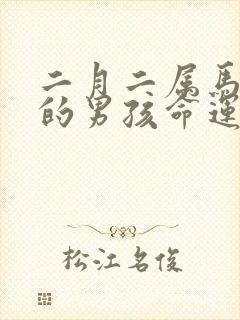 二月二属马出生的男孩命运