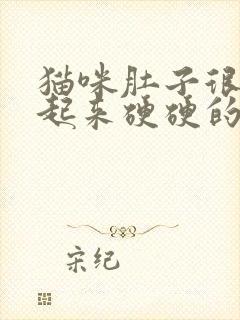 猫咪肚子很胀摸起来硬硬的封面