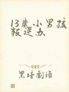 13岁小男孩的叛逆办