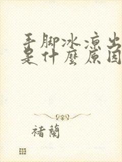 手脚冰凉出冷汗是什么原因